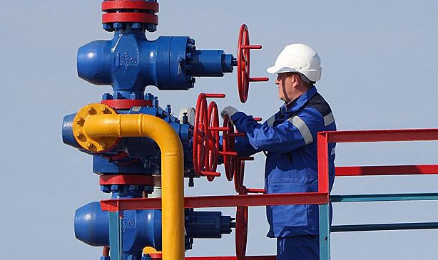 В Турции сообщили о достижении договоренностей с РФ об отсрочке оплаты газа